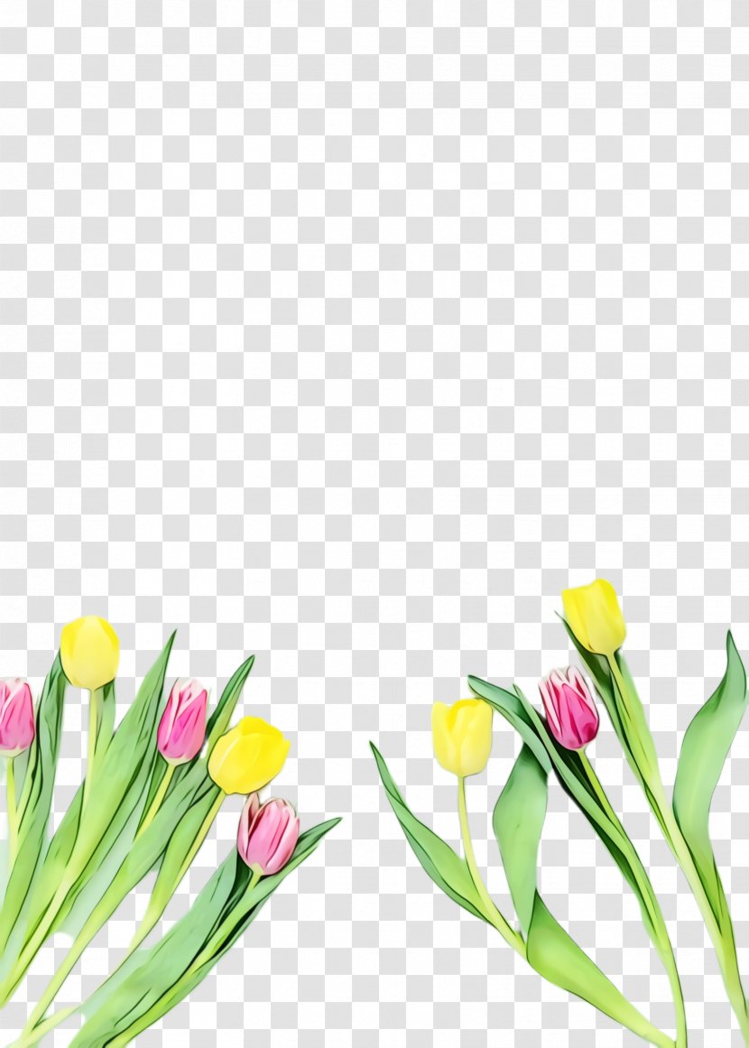 Lily Flower Cartoon - Floral Design - Bud Pedicel Transparent PNG