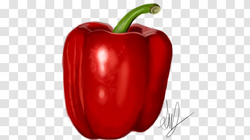 Chili Pepper Cayenne Bell Paprika Peperoncino - Tomato - Watercolor Transparent PNG