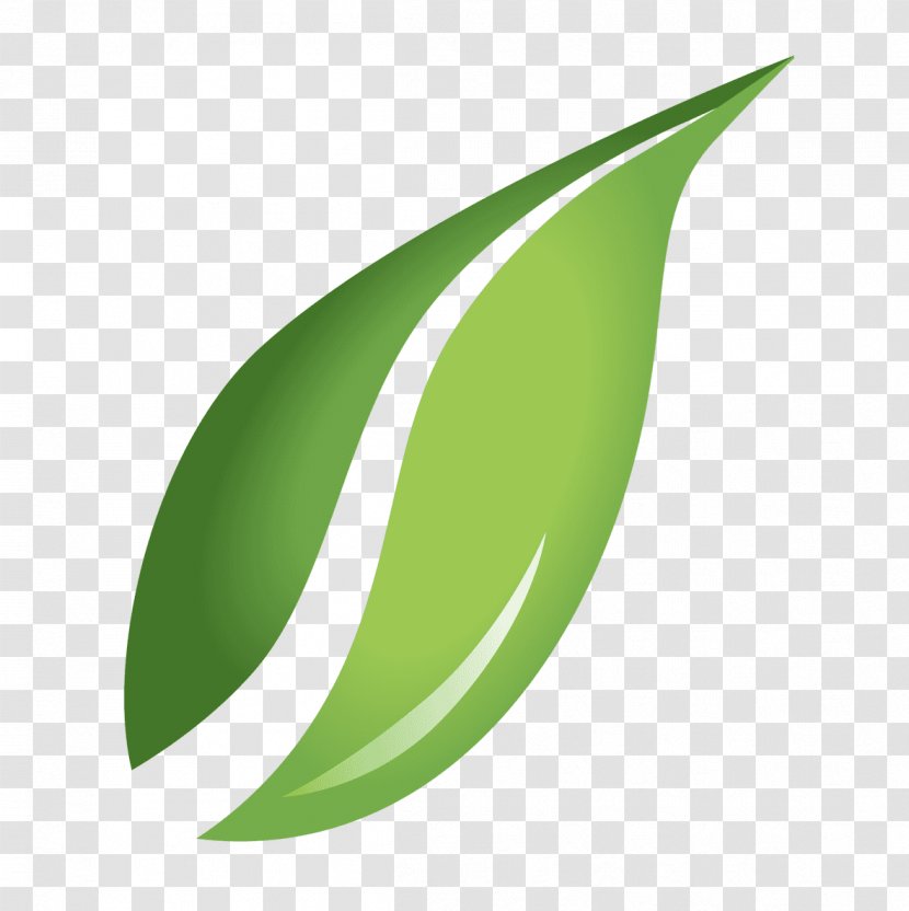 Clip Art - Grass - Leaf Transparent PNG