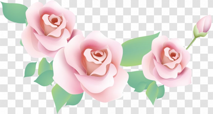 Flower - Garden Roses - Blossom Transparent PNG