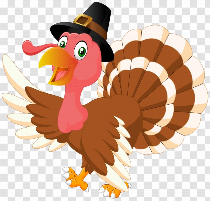 Royalty-free Clip Art - Chicken - Thanksgiving Turkey Transparent PNG