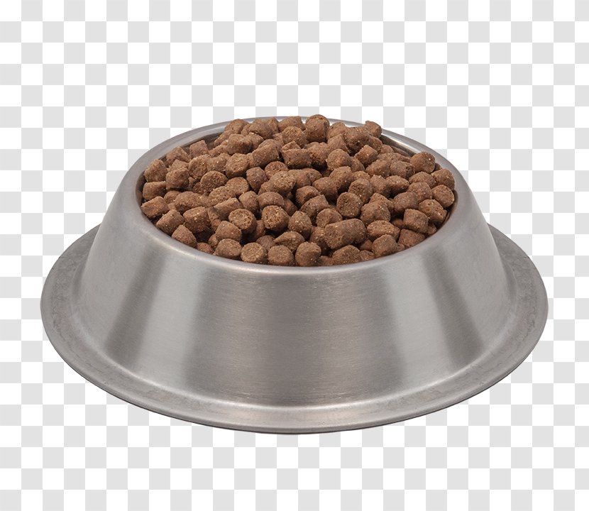 Cat Food Dog - Puppy - Dish Transparent PNG