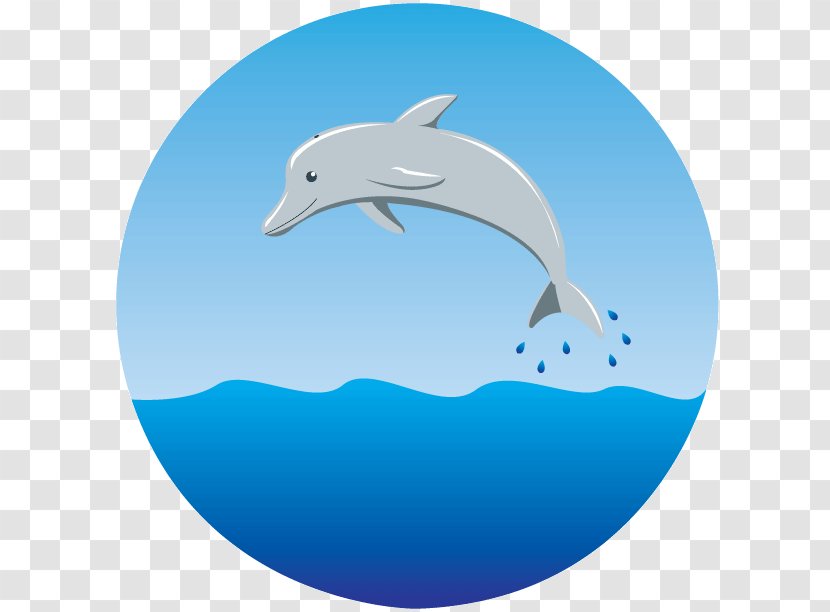 Common Bottlenose Dolphin Early Childhood Education Psychoeducation - Blue - Child Transparent PNG