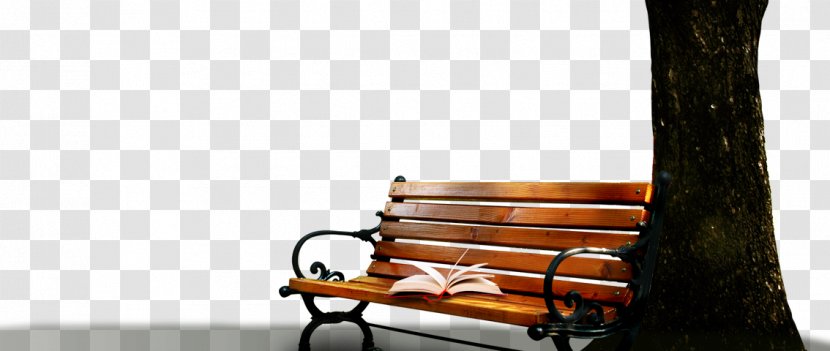 Table Bench Chair Park - Couch - Books Transparent PNG