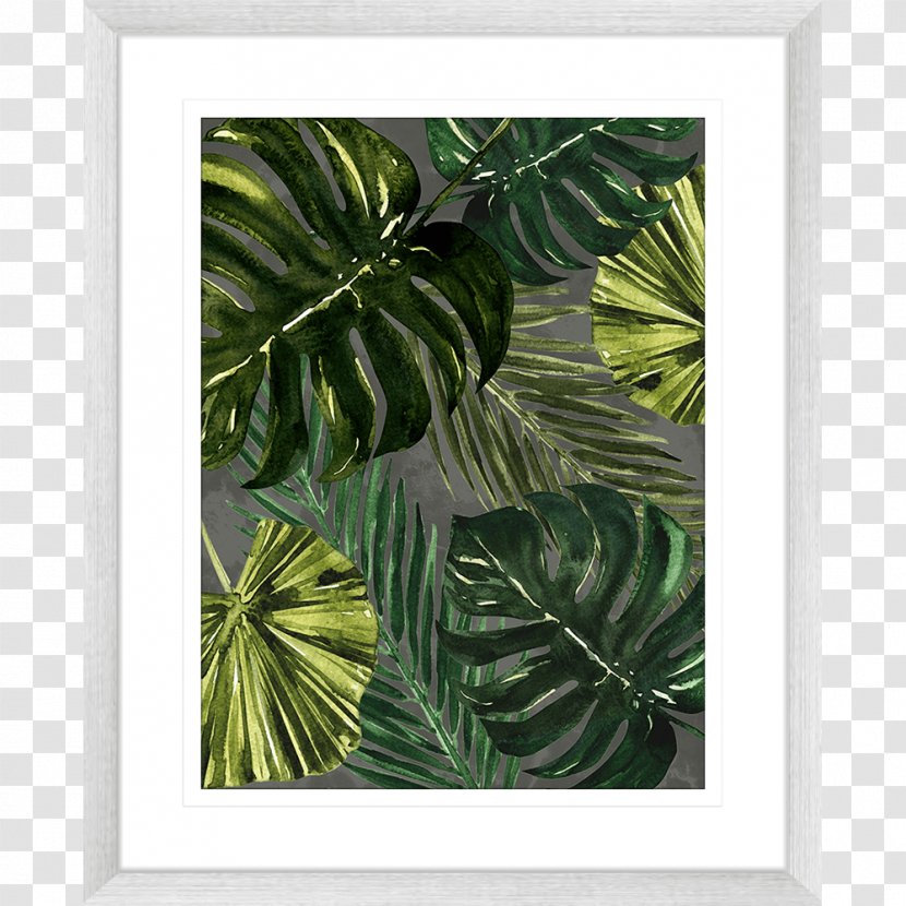 Picture Frames Leaf Tree Plant - Monstera Transparent PNG