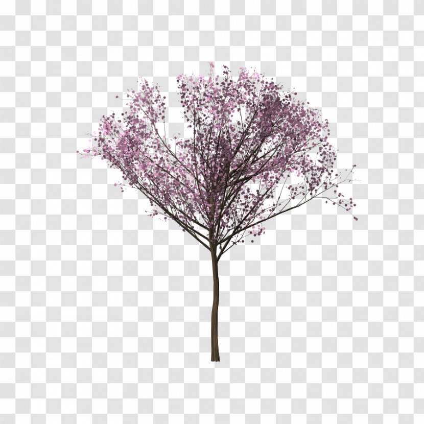 Tree Cherry Blossom Branch - Bunga Sakura Transparent PNG