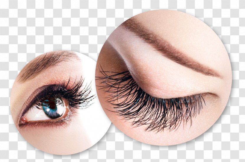 Eyelash Extensions Microblading Hair Beauty Parlour - Eye Liner Transparent PNG