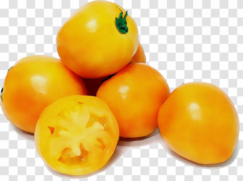 Tomato - Vegetable - Nightshade Family Yellow Plum Transparent PNG