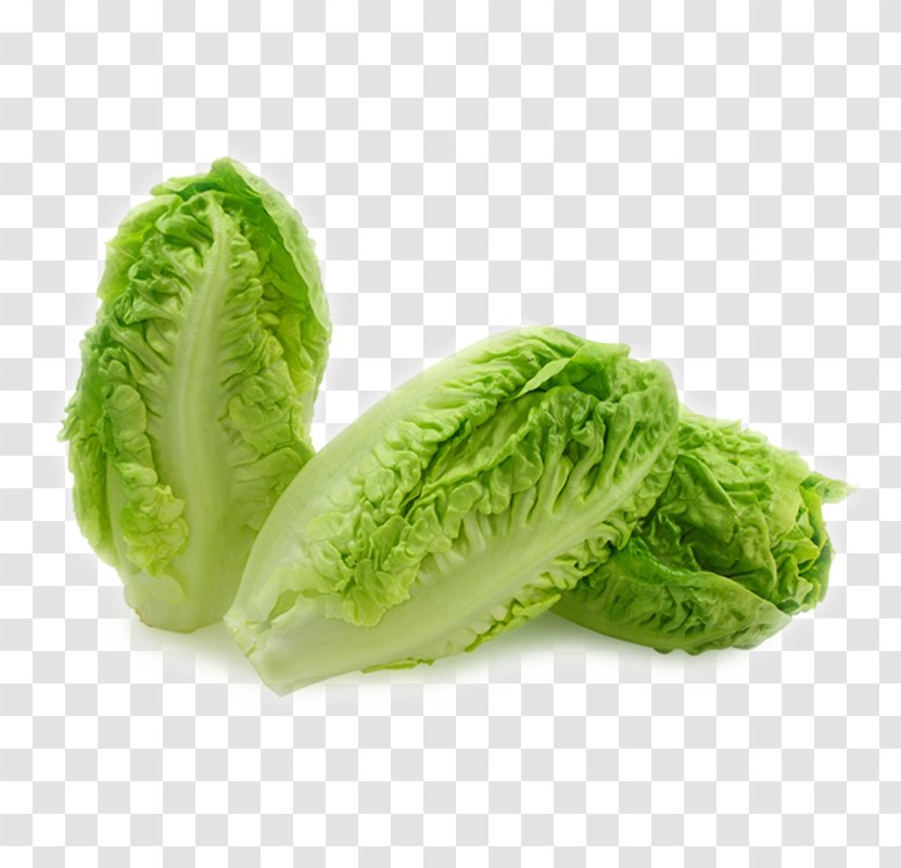 Butterhead Lettuce Leaf Organic Food Iceberg Romaine - Seed - Vegetables,Chinese Cabbage Transparent PNG