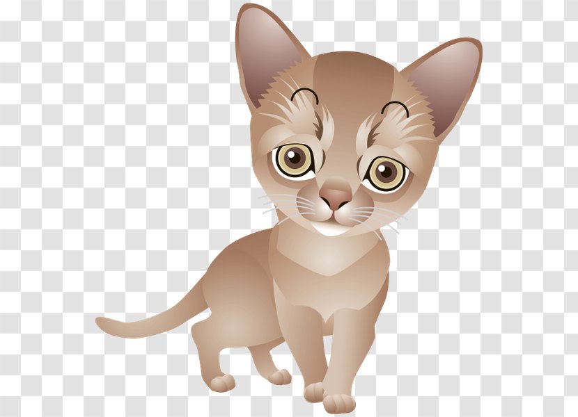 Kitten Whiskers Burmese Cat Domestic Short-haired Transparent PNG
