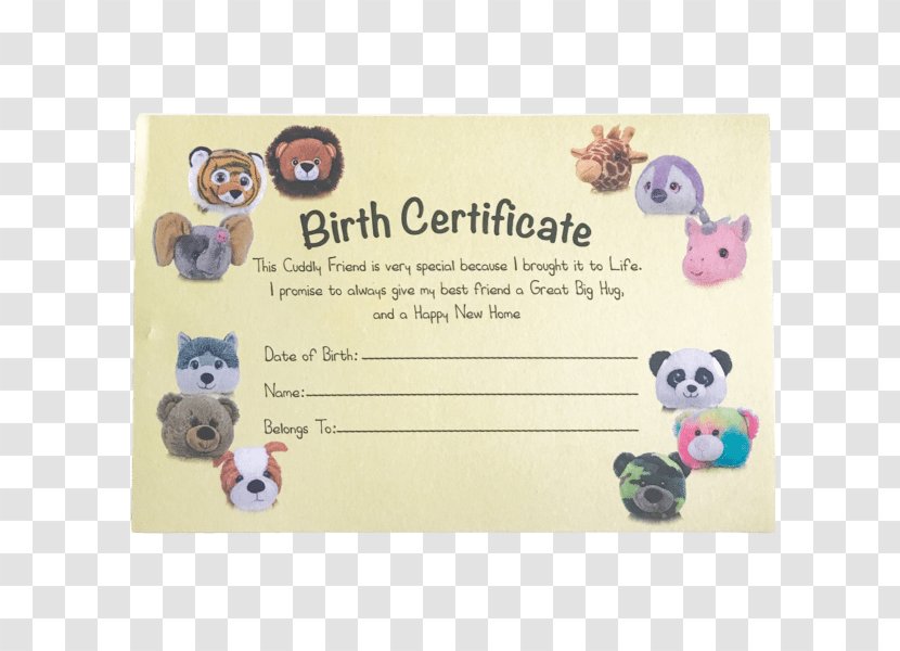 Birth Certificate Home Massachusetts Department Of Public Health Childbirth - San Bernardino County California Transparent PNG