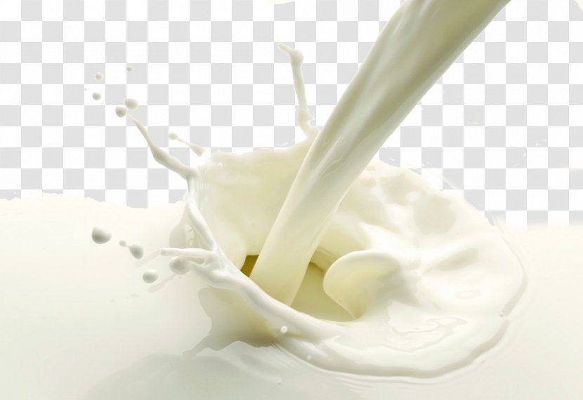 Skimmed Milk Cream Dairy Product Raw - Cheese Transparent PNG