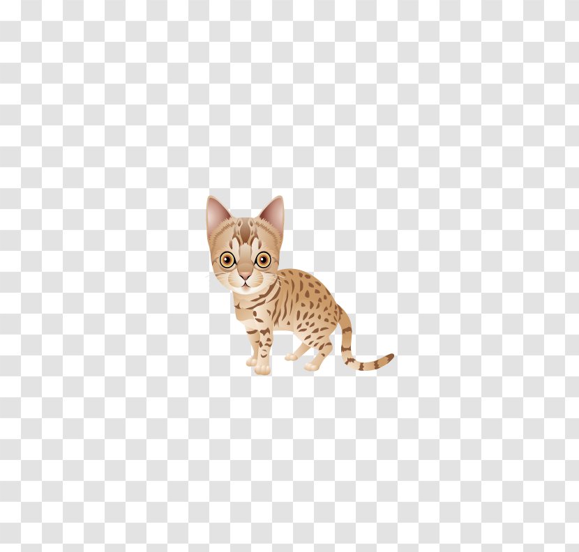 Ocicat Bengal Cat Savannah California Spangled Kitten - Domestic Shorthaired - Meng Pet Transparent PNG