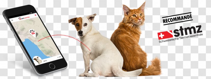 Cat Dog Pet Microchip Implant GPS Tracking Unit - Carnivoran - Creative Transparent PNG
