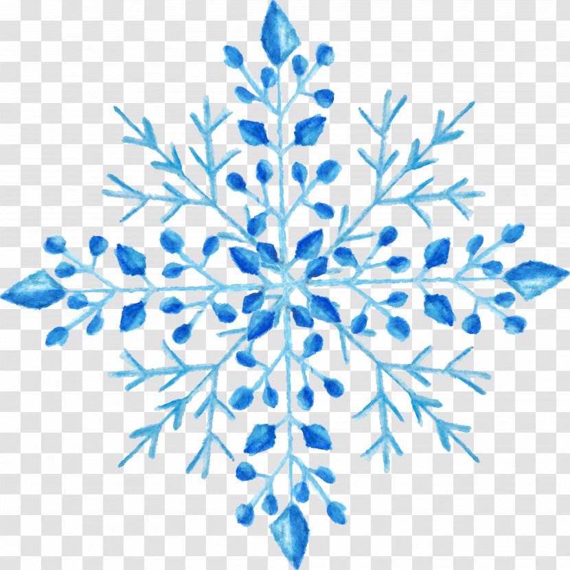Snowflake Watercolor Painting - Black And White - Flowers Transparent PNG