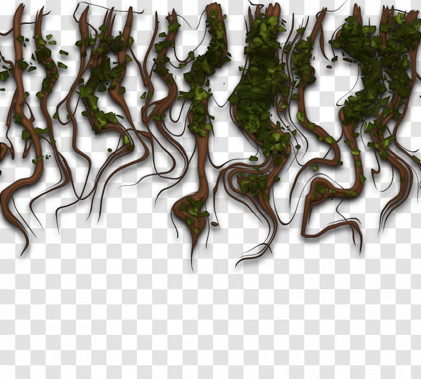 Vine Plant Clip Art - Organism - Vines Transparent PNG