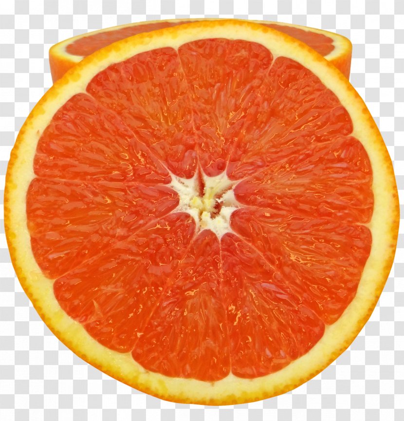 Orange Citrus Fruit Cara Navel - Tangerine - Grapefruit Transparent PNG
