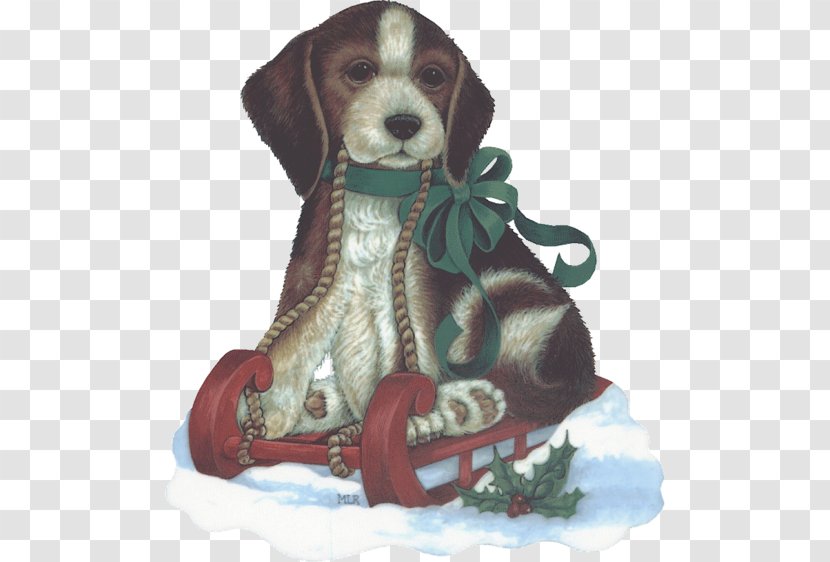 Beagle Puppy Dog Breed Christmas Companion - Animal Transparent PNG