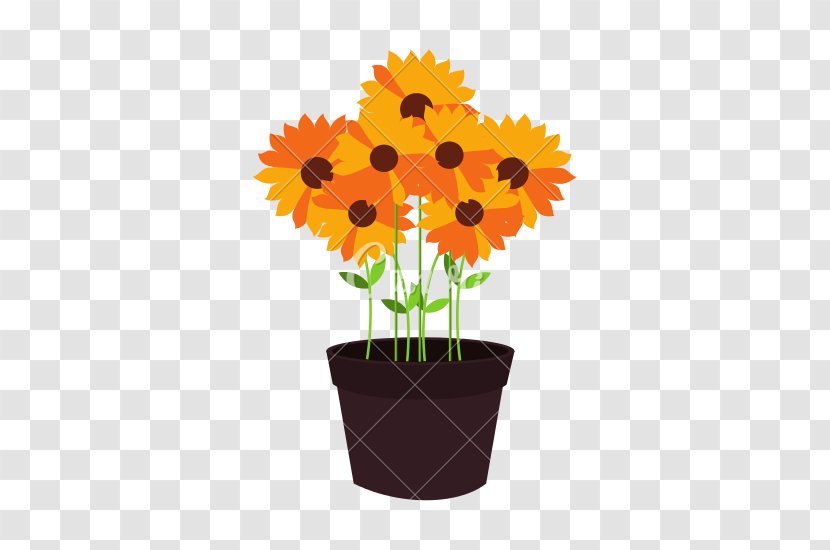 Flowerpot Common Sunflower Graphic Design - Flower - Pot Transparent PNG
