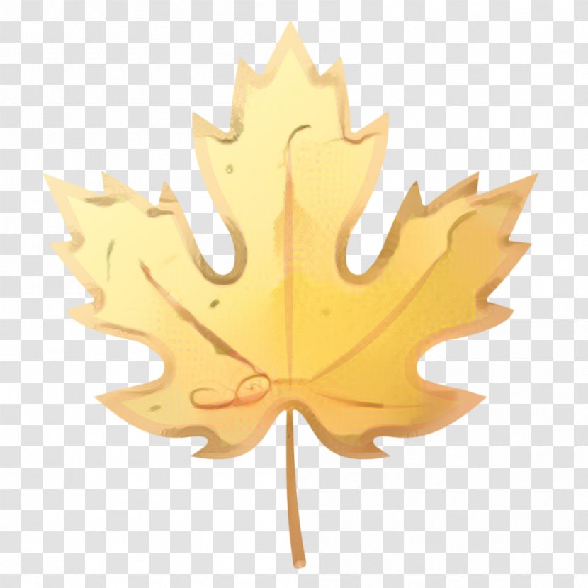 Canada Maple Leaf - Autumn Color - Soapberry Family Black Transparent PNG