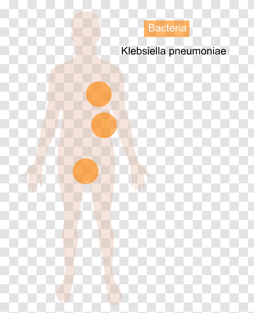 Klebsiella Pneumoniae Oxytoca Bacteria Disease Streptococcus - Silhouette - Bacterias Transparent PNG