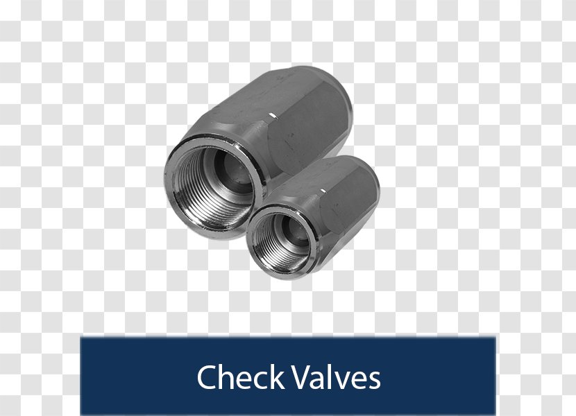 Check Valve Poppet Holmbury St Mary Pressure - Coupling - Double Transparent PNG