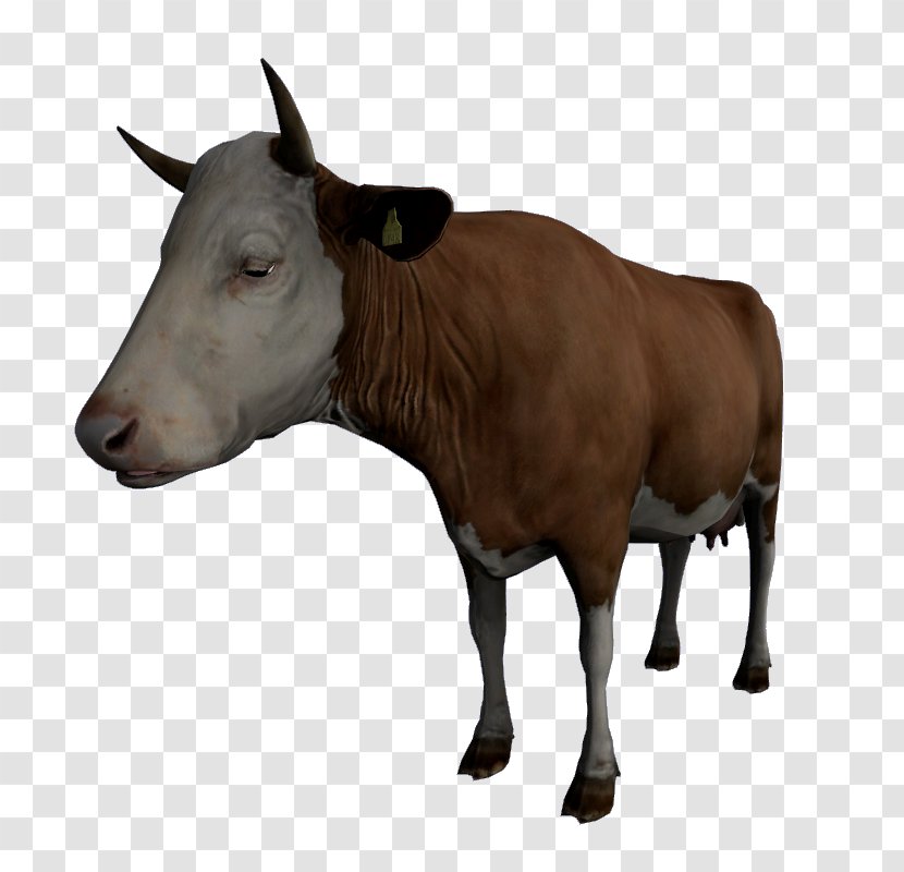 Dairy Cattle Calf DayZ Ox - Game - Dayz Transparent PNG