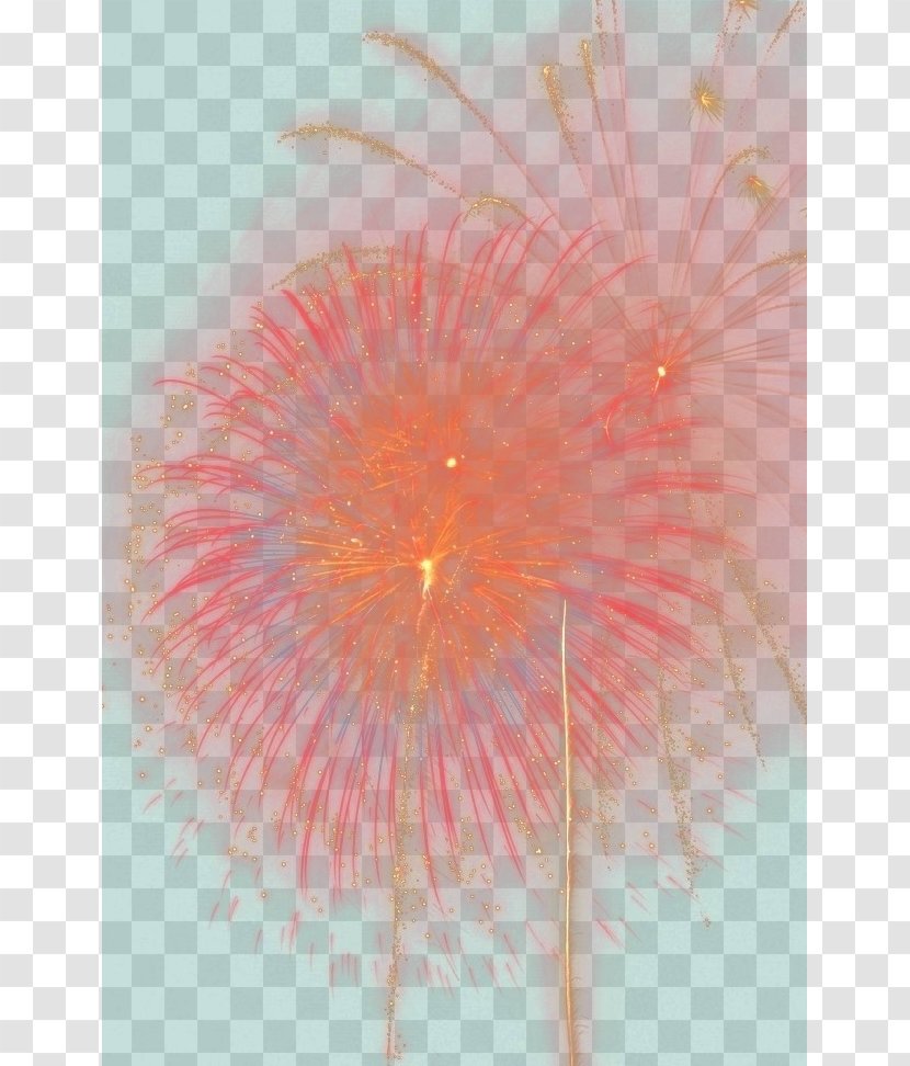 Fireworks Icon - Computer Transparent PNG