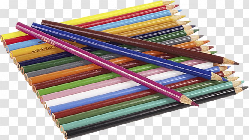 Forest School Colored Pencil - Paint Transparent PNG