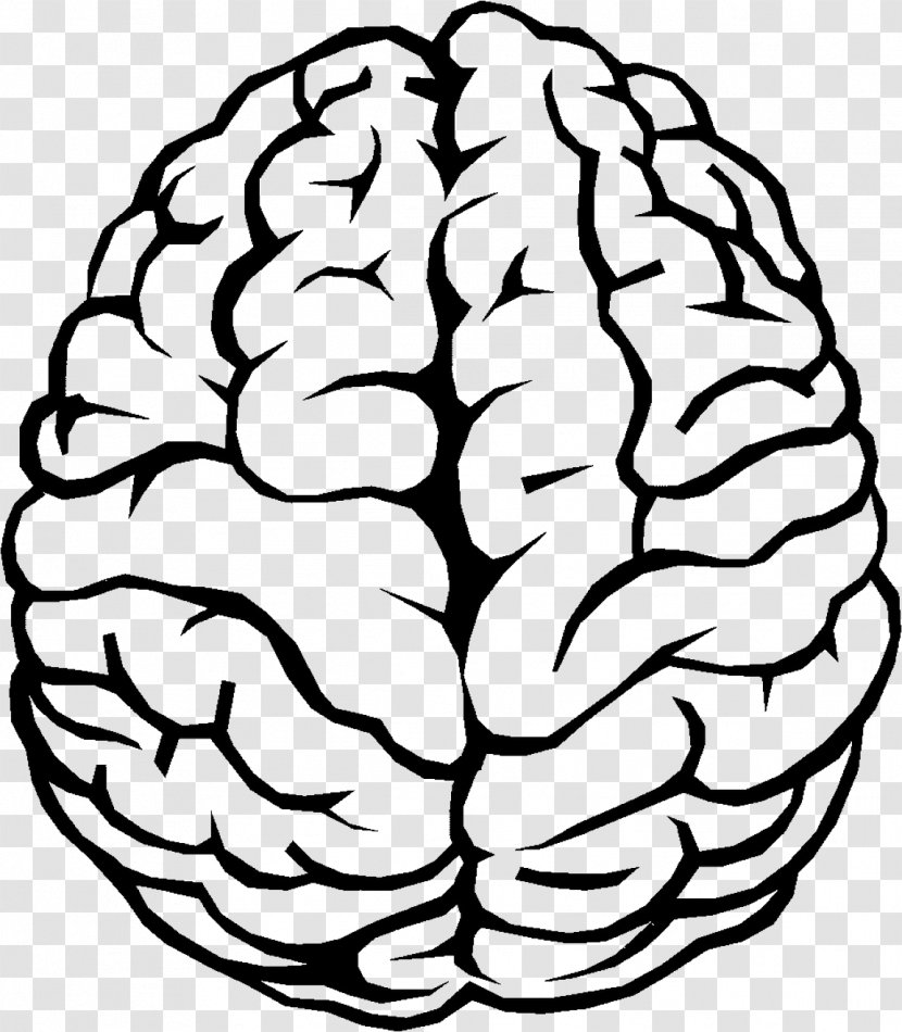 Outline Of The Human Brain Clip Art - Silhouette Transparent PNG