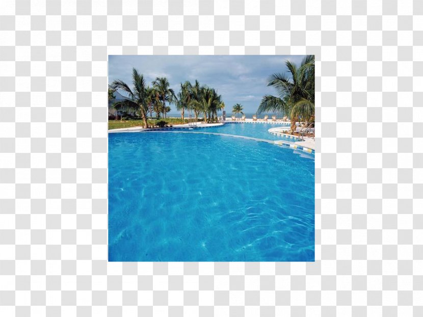 Caribbean Leisure Water Resources Ocean Swimming Pool - Vacation Transparent PNG