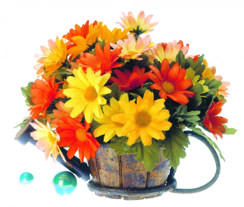 Floral Design Flower Bouquet Transvaal Daisy Chrysanthemum Floristry Transparent PNG