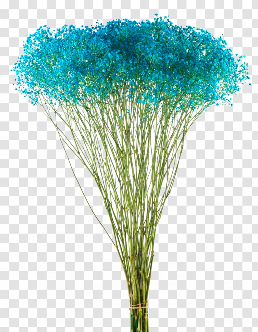 Cut Flowers Baby's-breath Plant Stem Tree - Gyps - Baby Sbreath Transparent PNG
