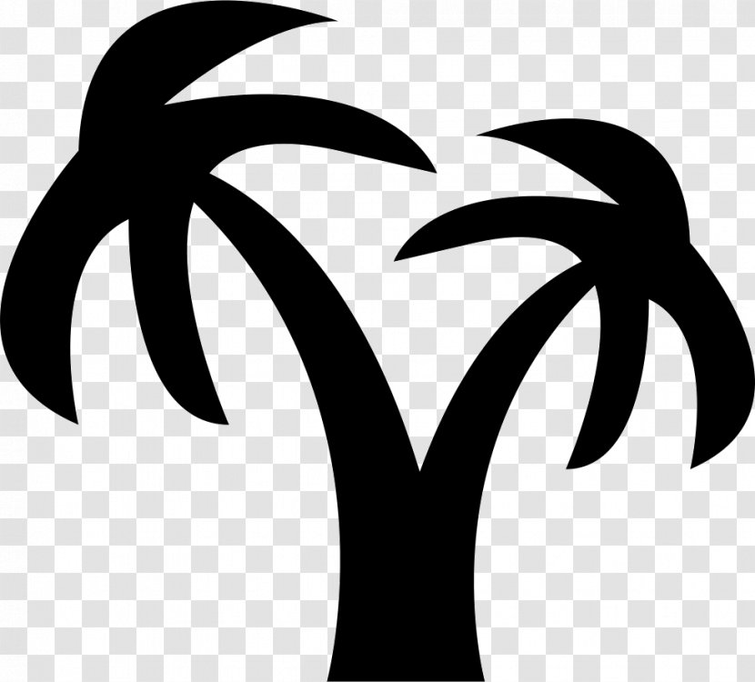 Coconut Arecaceae Tree Logo - Plant - Vector Transparent PNG