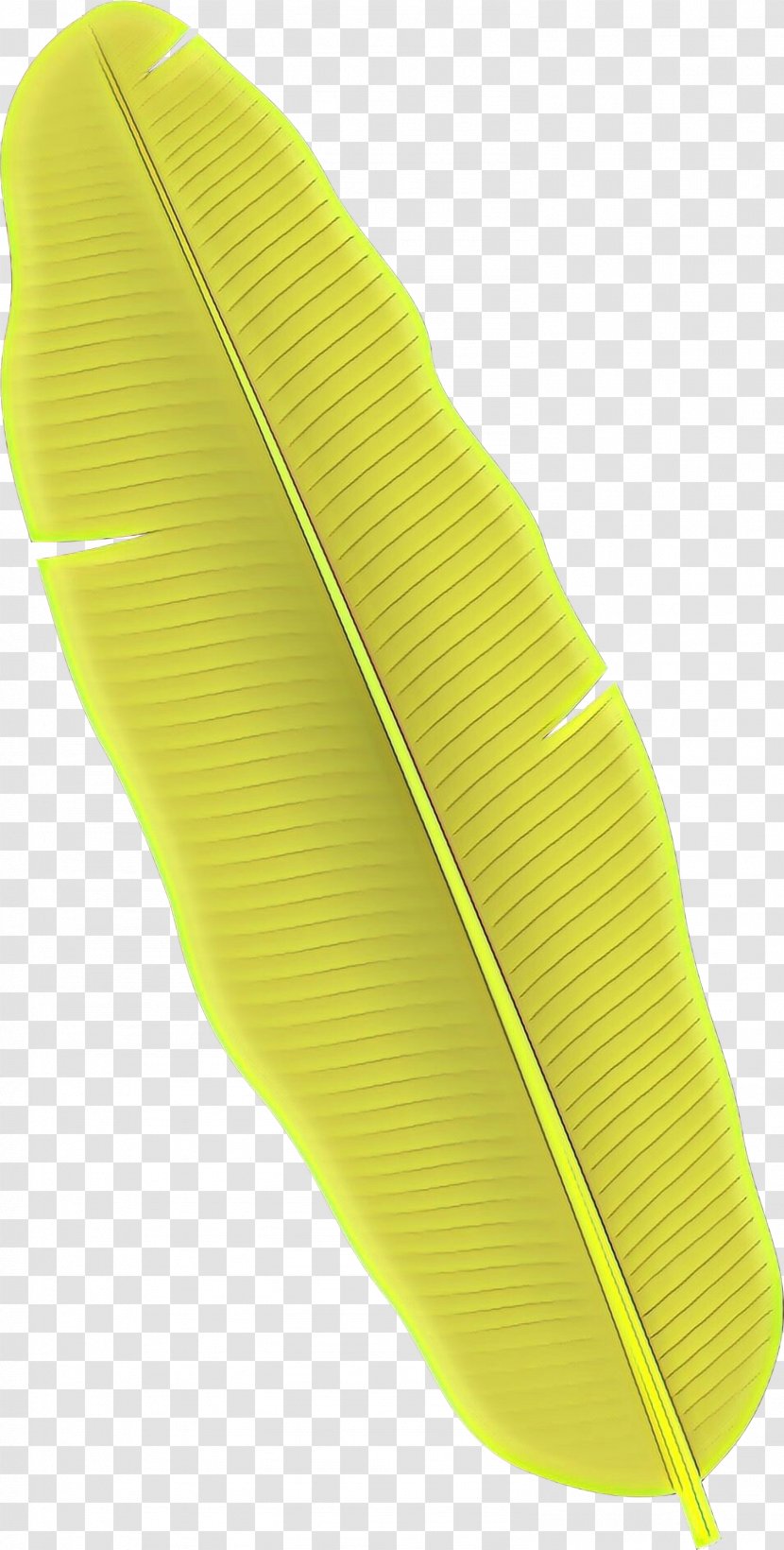 Yellow Green Fashion Accessory Transparent PNG