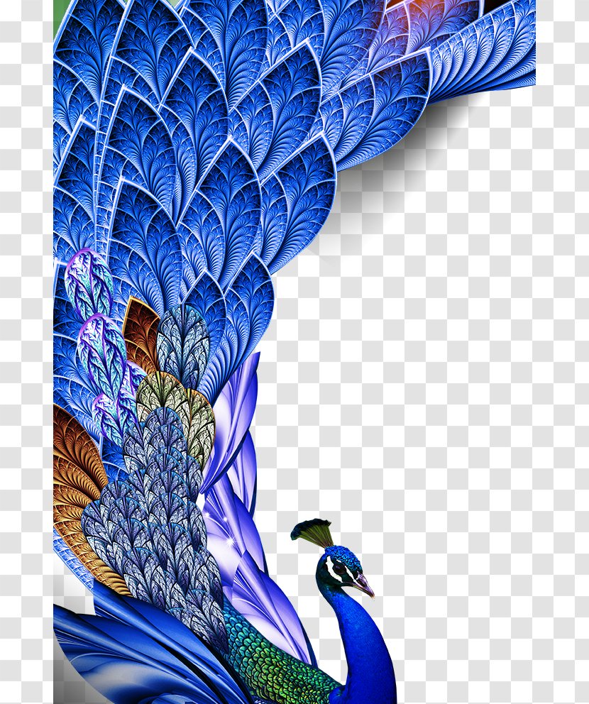 Bird Feather Huawei P10 Asiatic Peafowl - Color - Peacock Transparent PNG