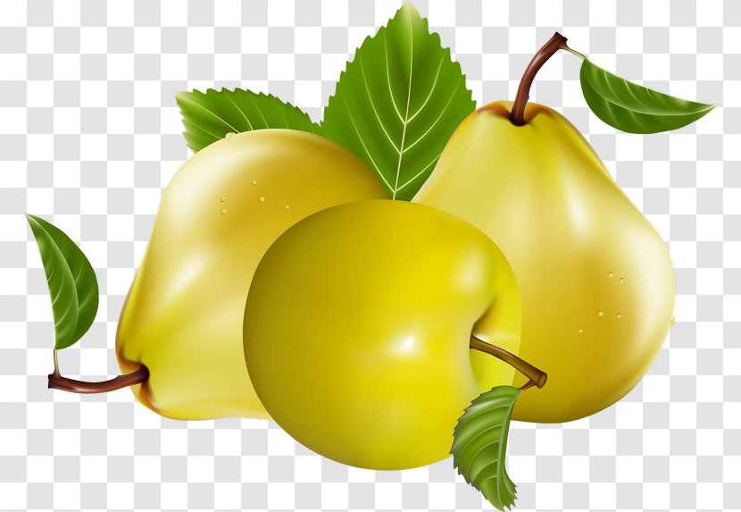 Pear Apple Royalty-free Clip Art Transparent PNG