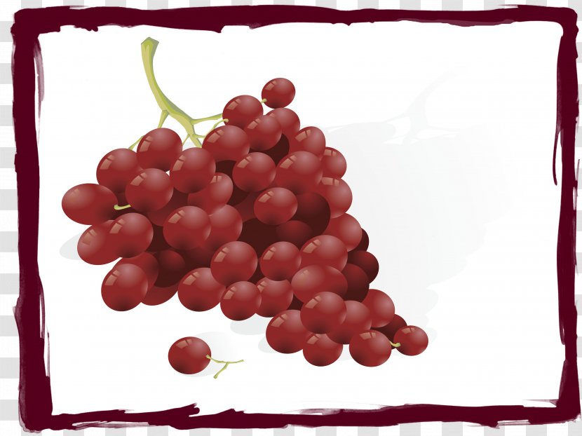 Wine Juice Grape Melon - Vitis Transparent PNG