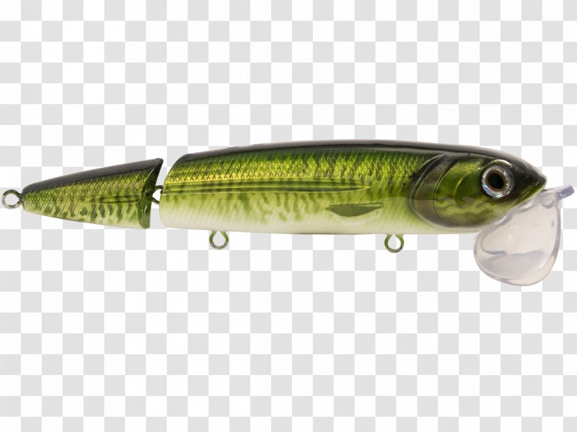 Sardine Northern Pike Spoon Lure Oily Fish Perch - Hook Ups Transparent PNG