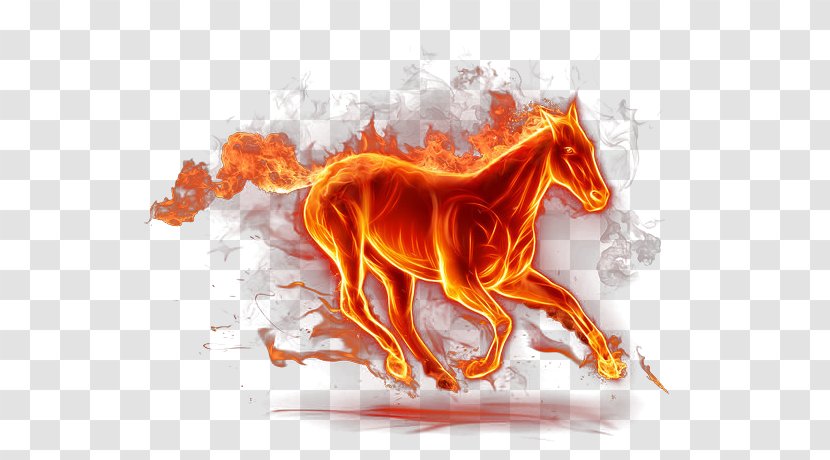 Horse Fire Flame Light - Conflagration Transparent PNG