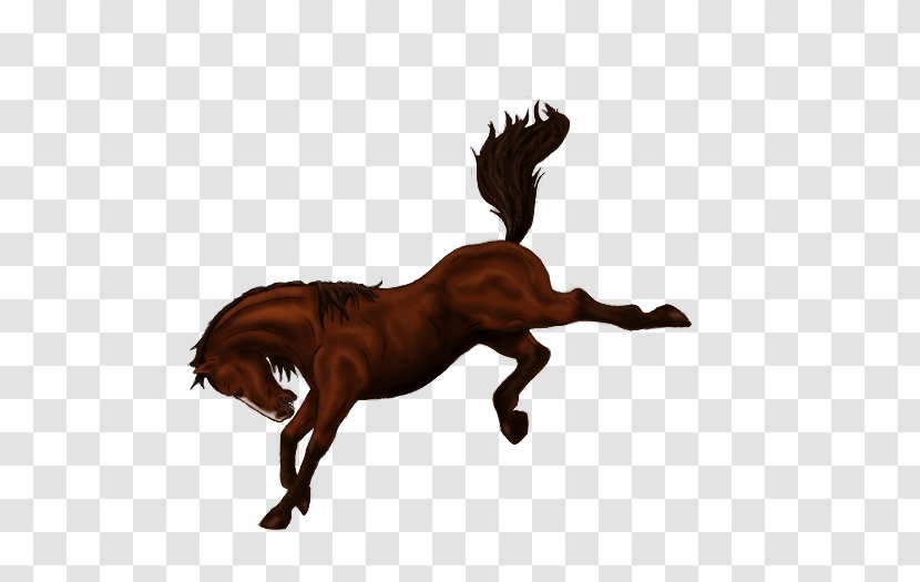 Horse Bucking Stallion Bronco Mane - Mustang Transparent PNG