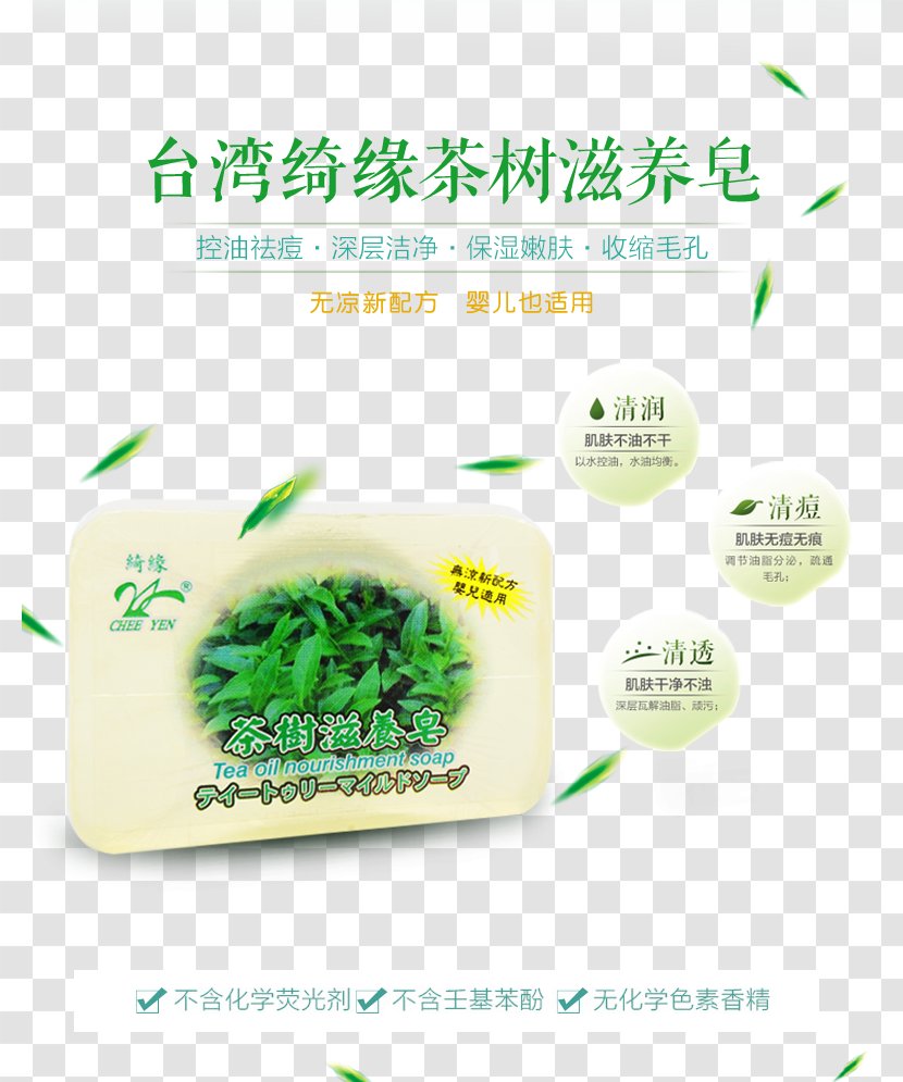 Tea Taiwan Soap - Brand - Nourish Transparent PNG