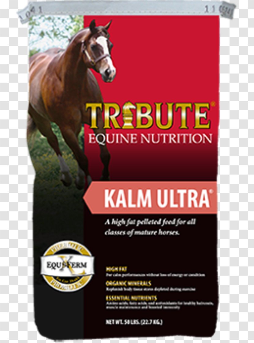 Horse Equine Nutrition Pelletizing Animal Feed Nutrient - Tack Transparent PNG