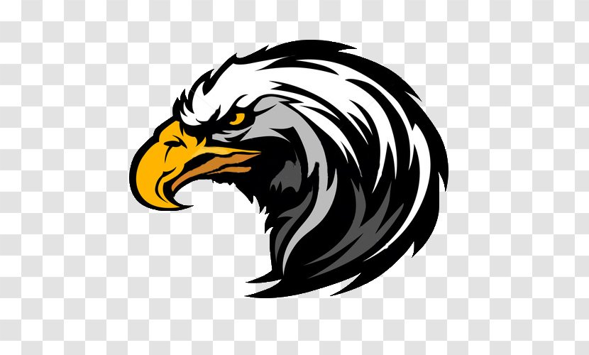 Bald Eagle Clip Art Transparent PNG