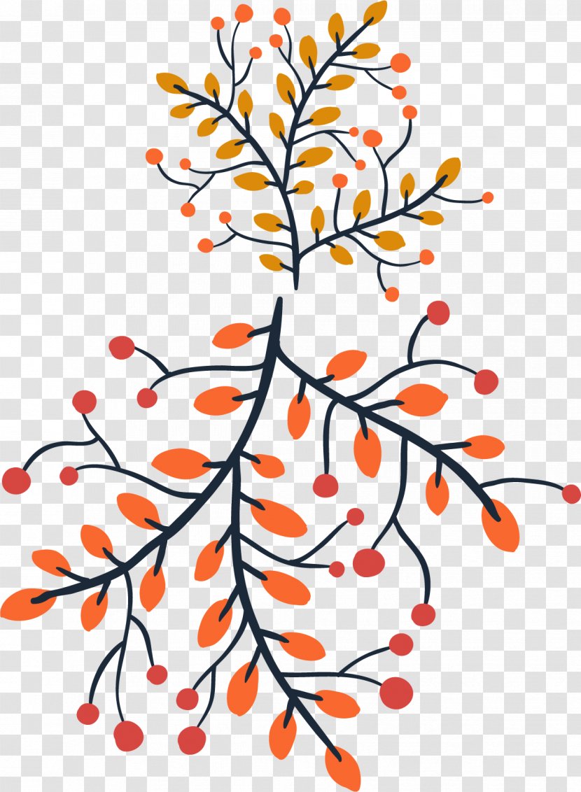 Twig Branch Drawing Tree - Bud - Bough Ornament Transparent PNG