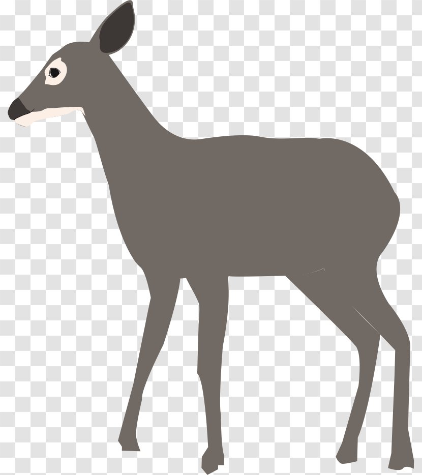 White-tailed Deer Elk Antelope Clip Art Transparent PNG