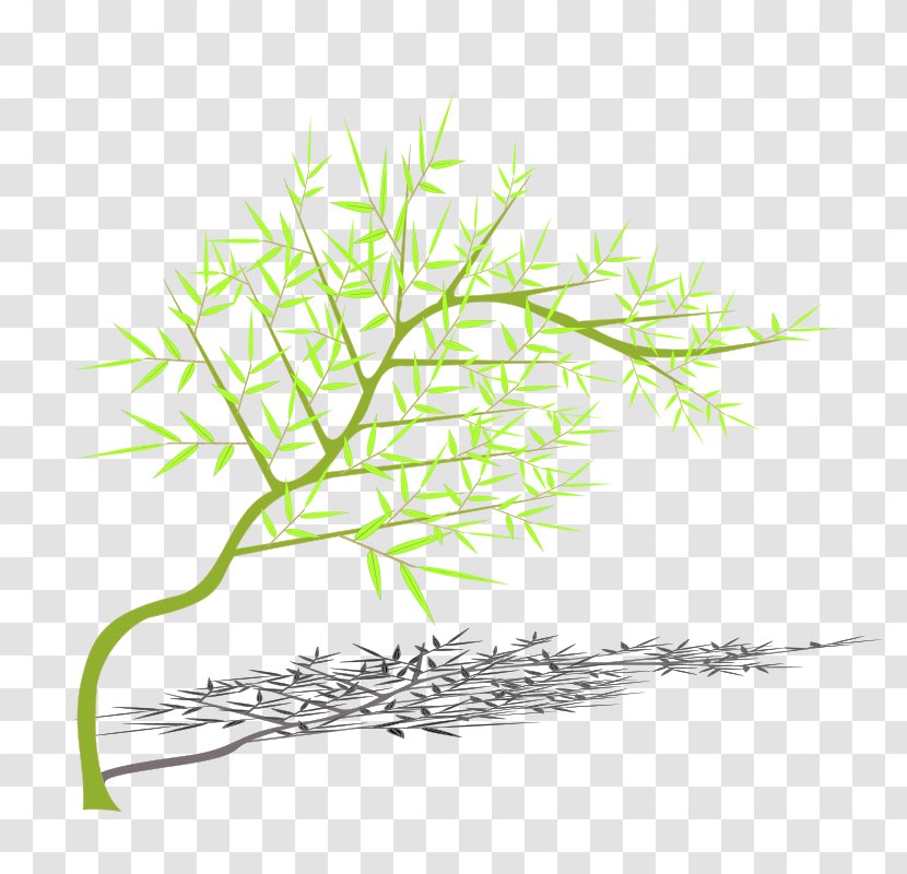 Tree Bamboo Branch - Plant Stem Transparent PNG