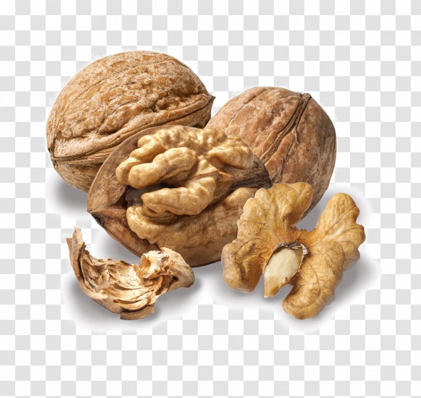 English Walnut Pecan - Nuts Seeds Transparent PNG