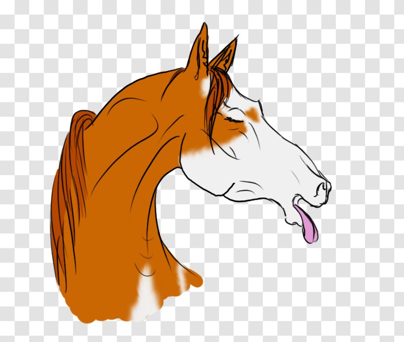 Pony Red Fox Drawing Mustang Halter - Horse Liberty Transparent PNG