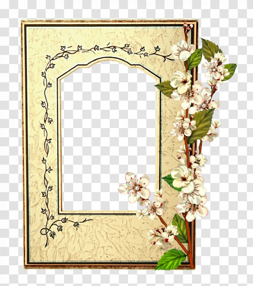 Picture Frames Flower Photography Floral Design First Communion - Ornament - Mirror Transparent PNG